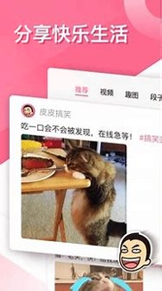 皮皮笑话截图3