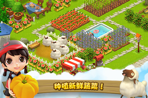 开心岛截图2