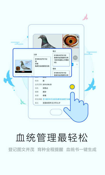 爱鸽者截图1