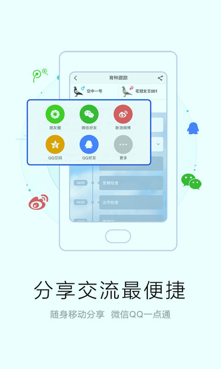 爱鸽者截图3