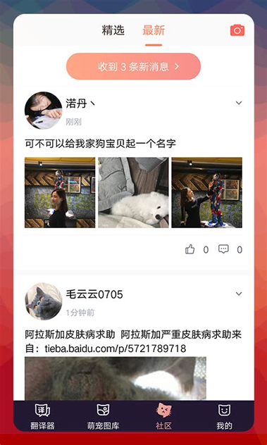 猫语交流翻译器
