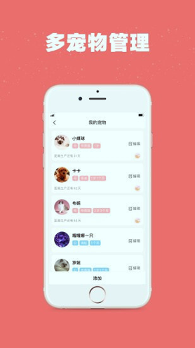 宠物王国截图4