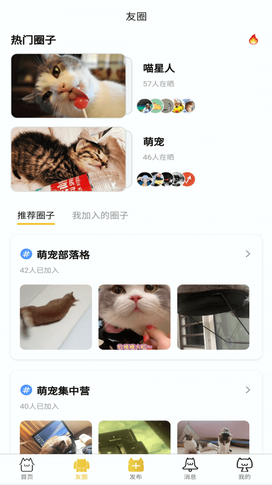 友猫_截图2