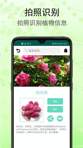 识花草截图1