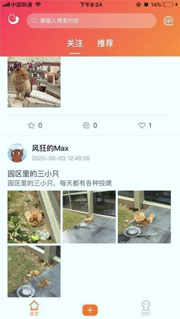 团纸日记截图3