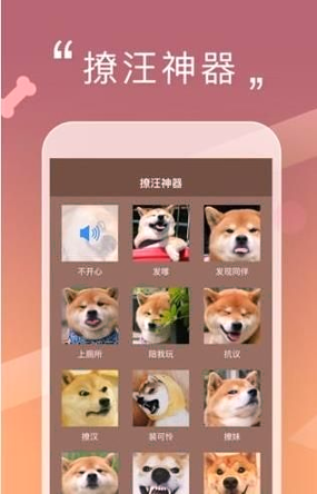人狗交流器截图2