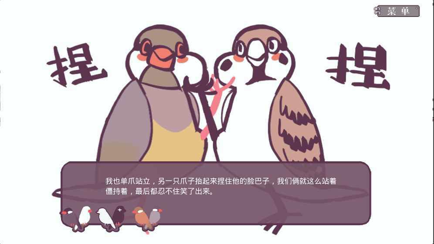咕啾文鸟恋爱物语截图4