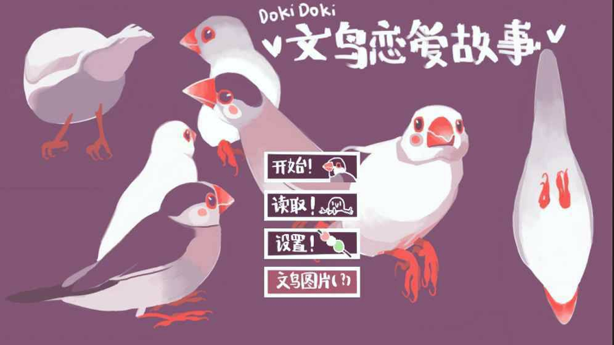 咕啾文鸟恋爱物语截图3