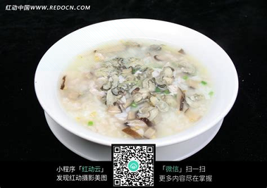 大众素菜谱下载_大众素菜谱苹果版下载