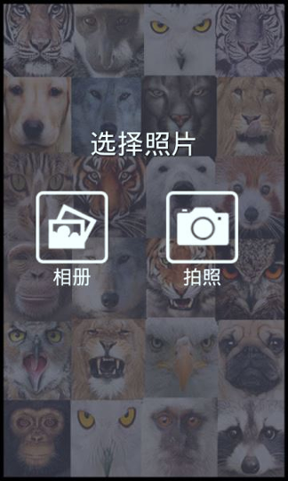 动物搞怪相机截图4