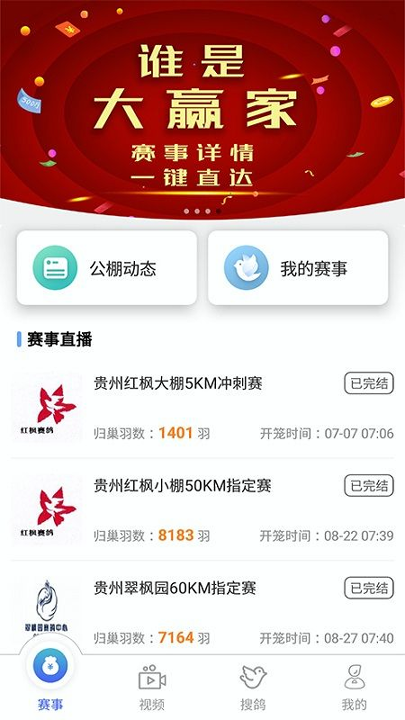 赛鸽助手截图1