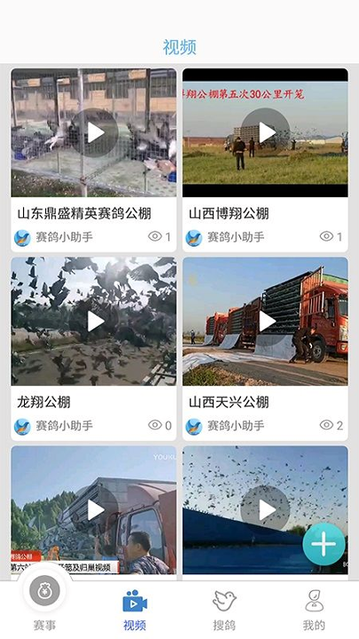 赛鸽助手截图2