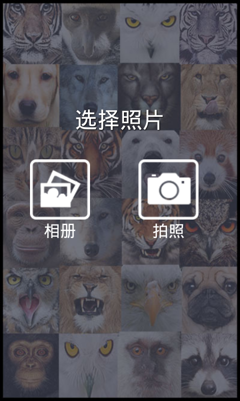 萌面变脸相机截图1