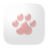 猫爪论坛下载_猫爪论坛官方版下载