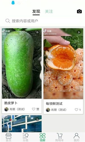 中甸菜园子下载_中甸菜园子安卓版下载-1