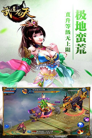 武道苍天小米版截图2