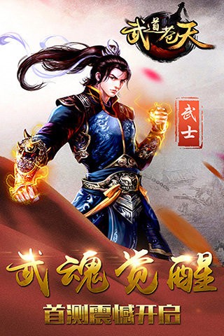 武道苍天小米版截图3