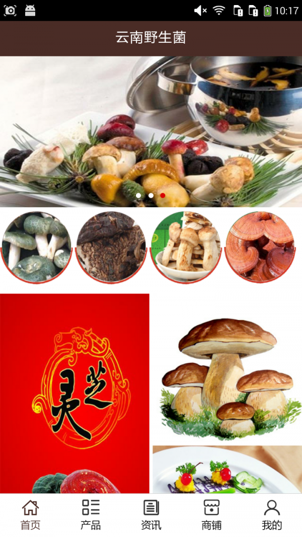 云南野生菌截图3