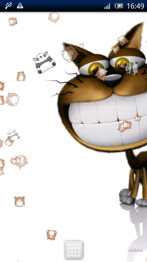 搞笑猫动态壁纸截图2