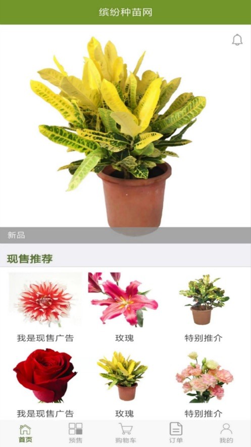 缤纷种苗截图4