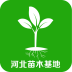 河北苗木基地下载_河北苗木基地官方版下载