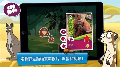 动物好伙伴截图3