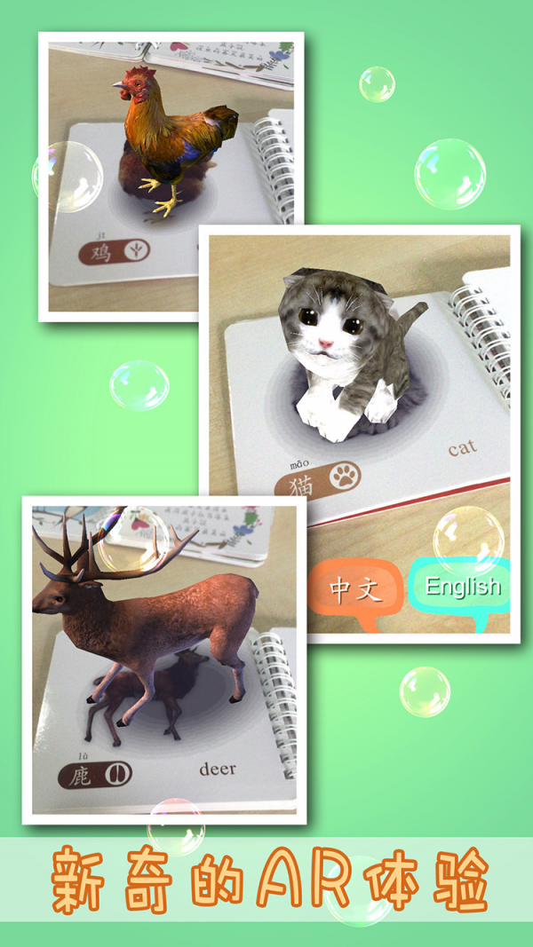 笨笨猴-01