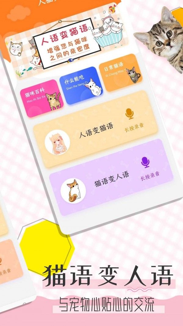 猫语翻译