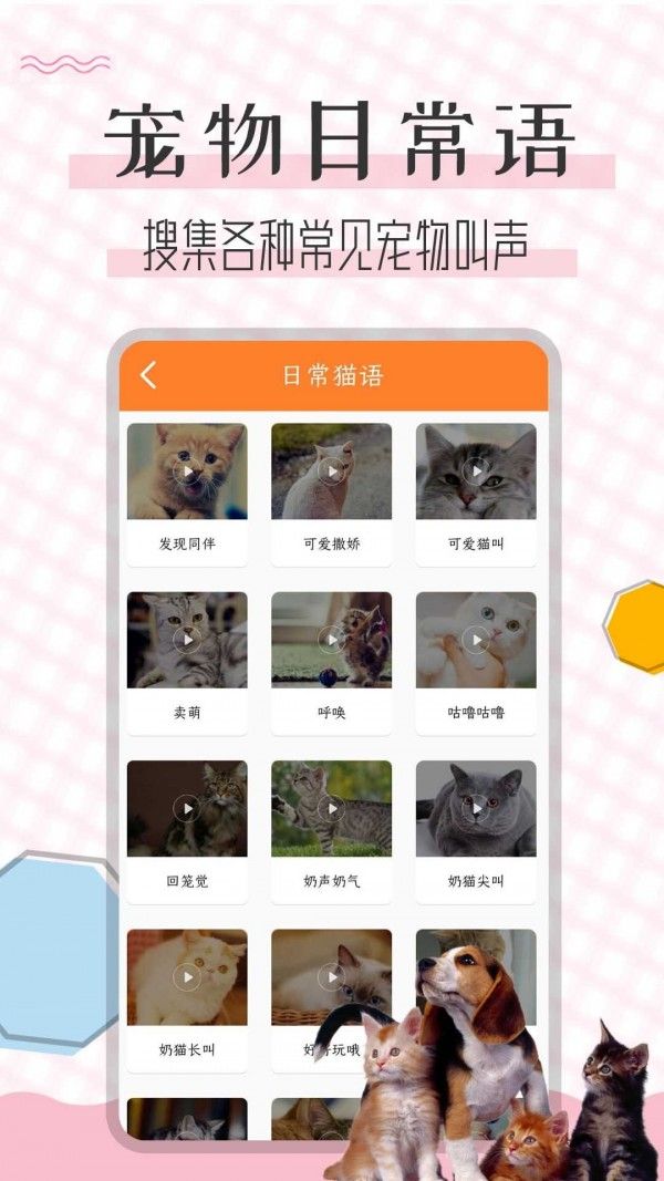 猫语翻译