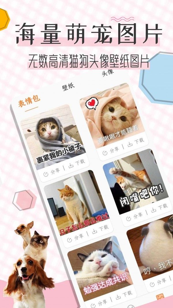 猫语翻译