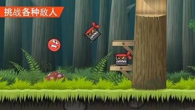 红球冒险4截图1