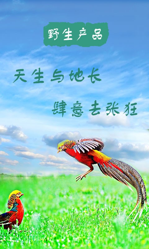 野生产品截图5