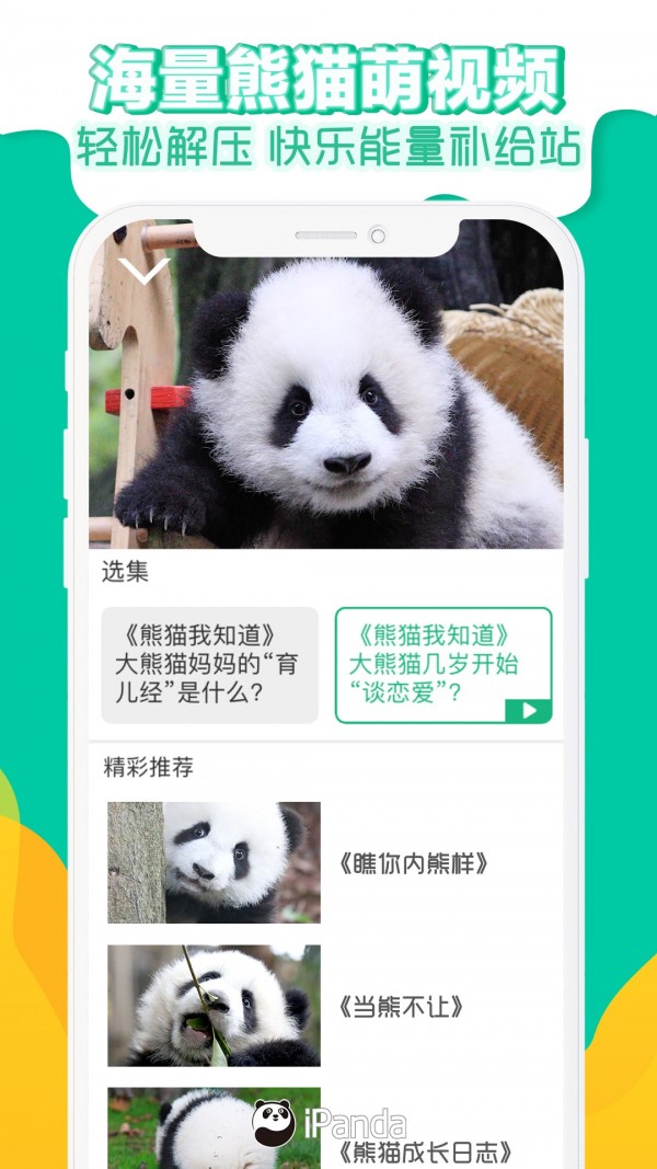 熊猫频道截图4