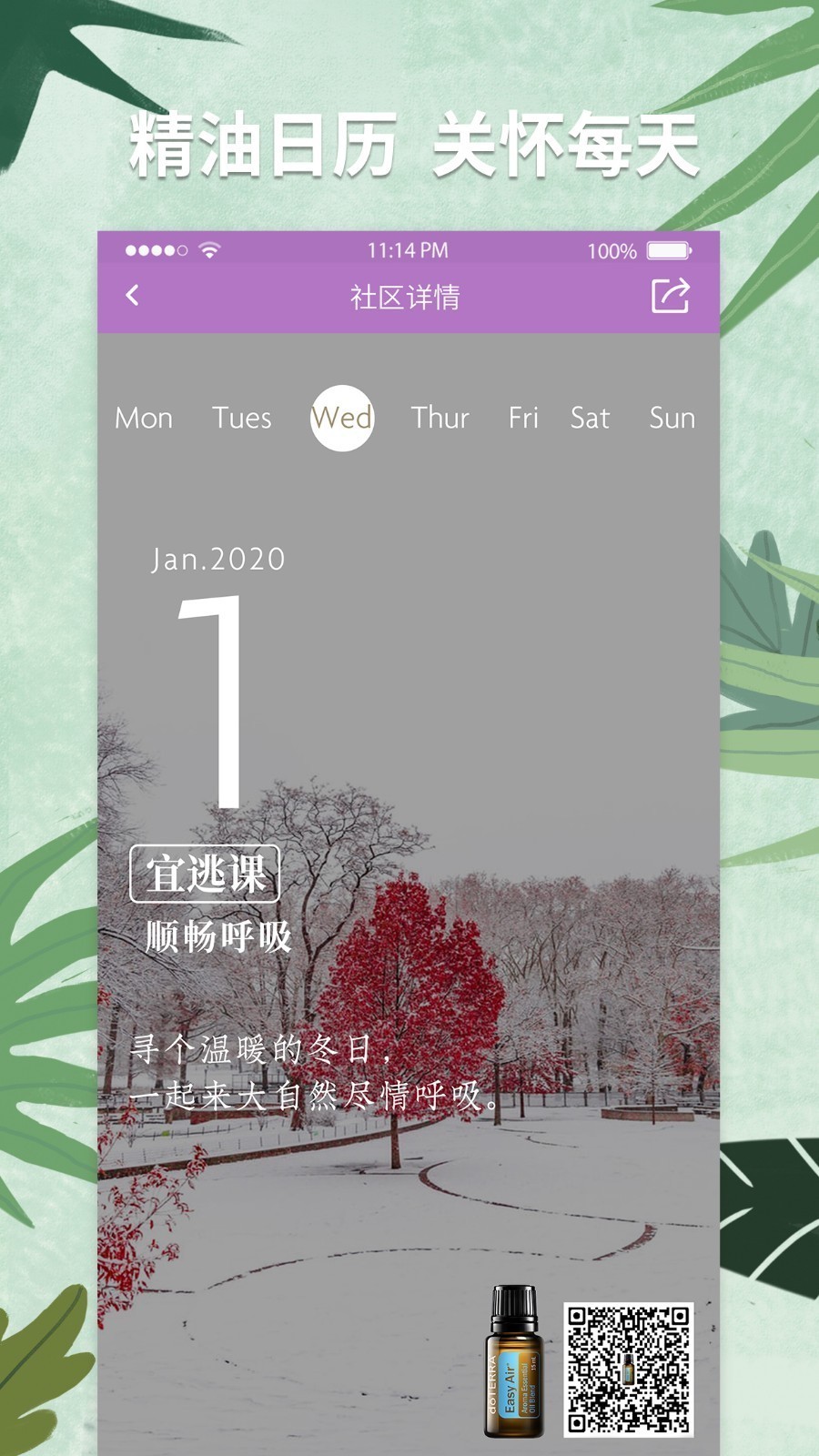 多特瑞截图4