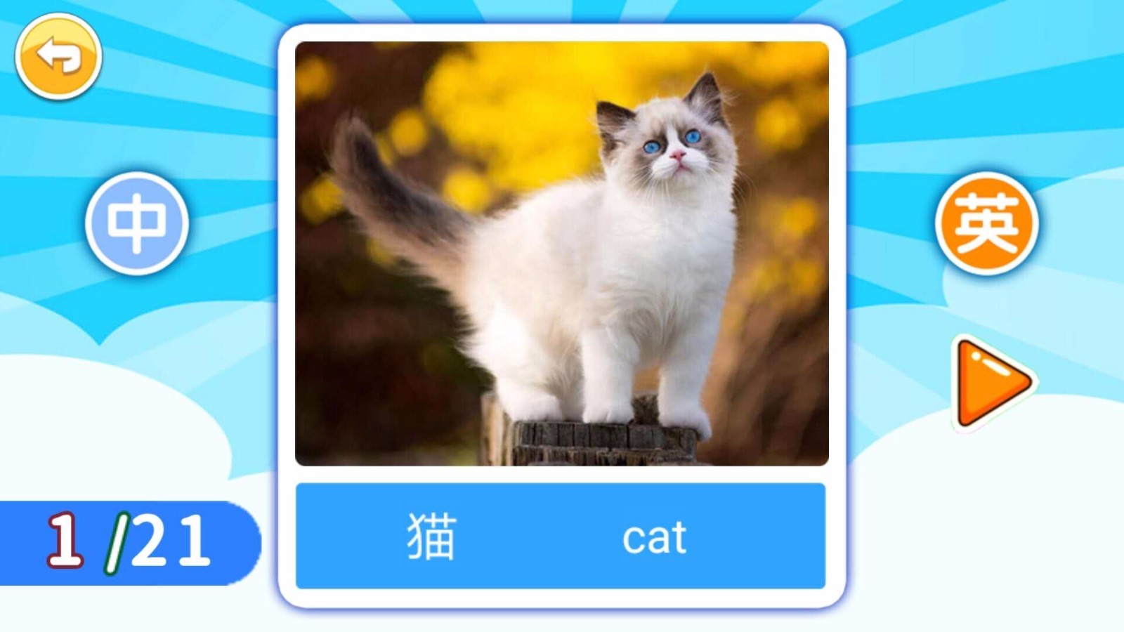截图5