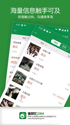 猪邦忙截图4