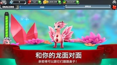 龙谷2截图4