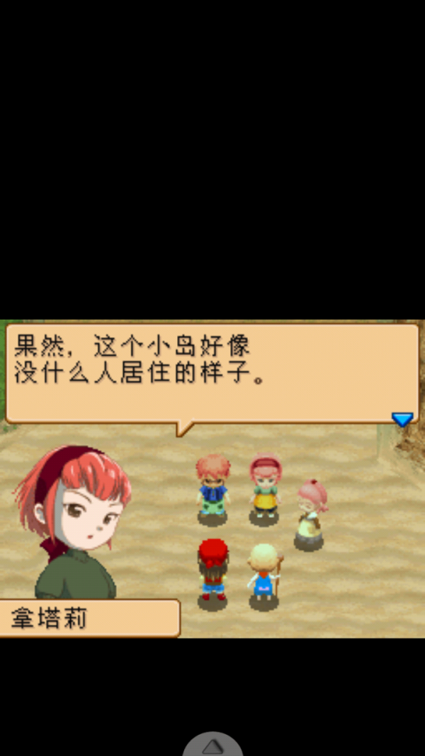 牧场物语双子村截图4