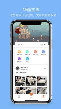 大派宠物-01