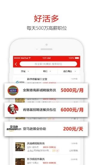 招聘猫截图4