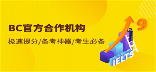 雅思写作截图1
