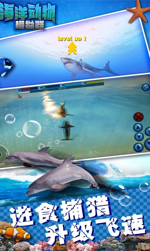 海洋动物截图2