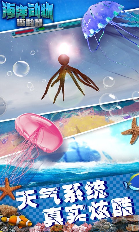 海洋动物截图5