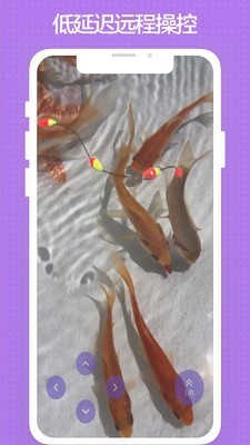 玩鱼