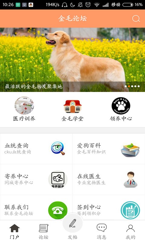 金毛论坛