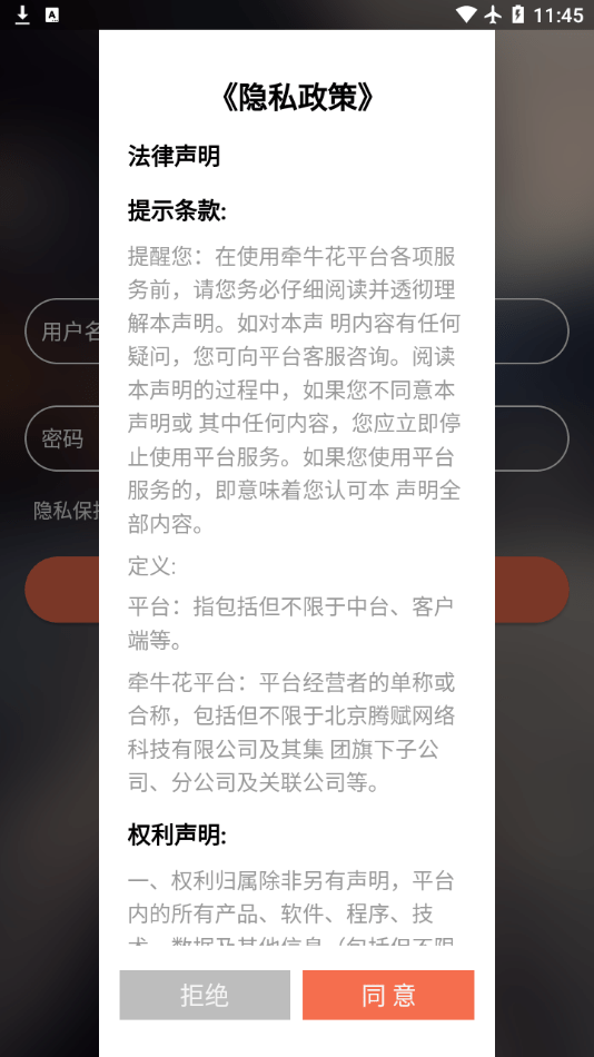 牵牛花