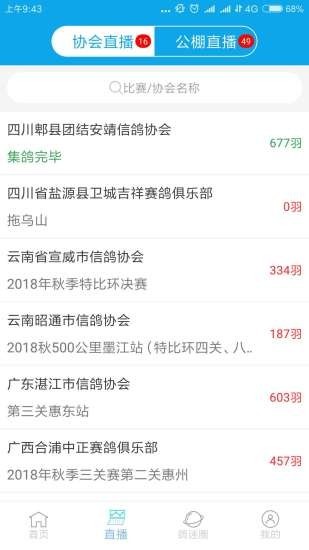 中鸽网截图2