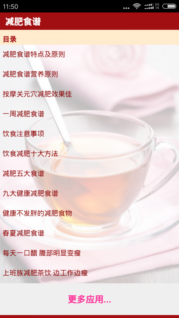 减肥饮食法截图1