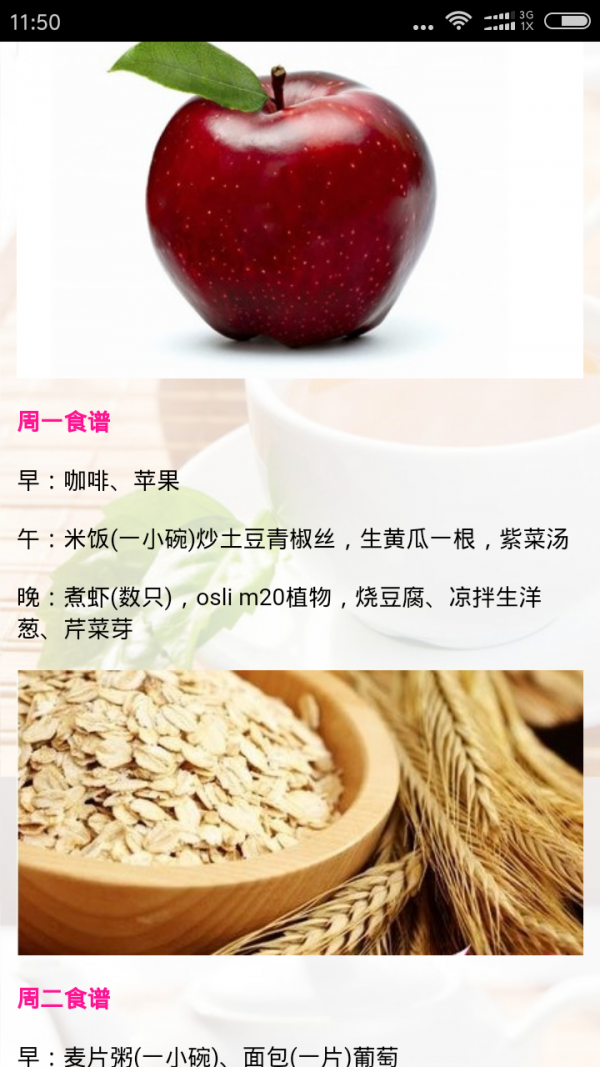 减肥饮食法截图3