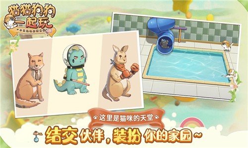 猫猫狗狗一起玩截图4